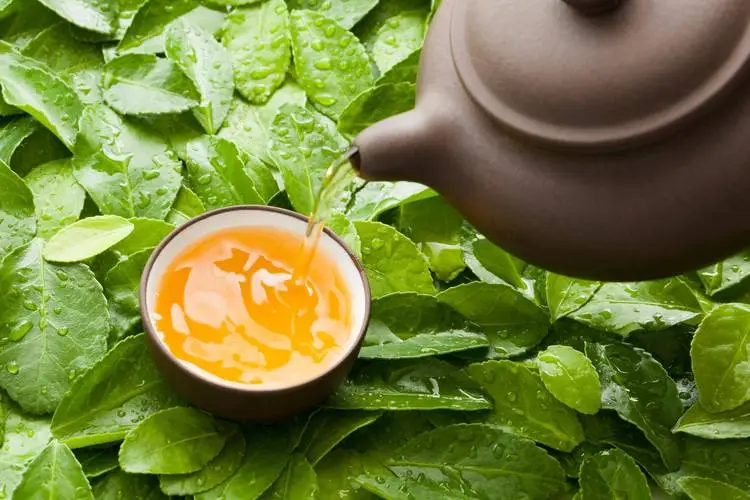 茶叶资讯