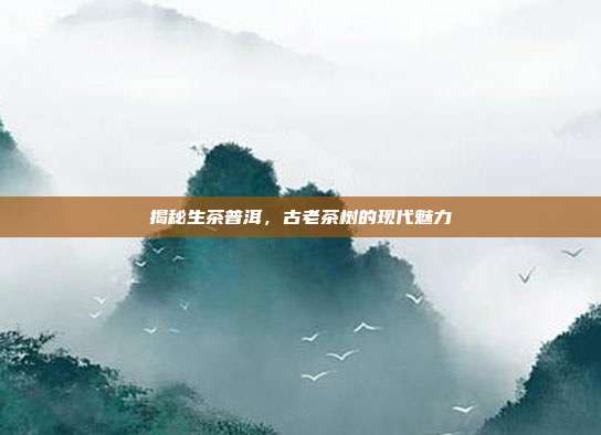 揭秘生茶普洱，古老茶树的现代魅力