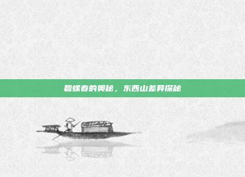 碧螺春的奥秘，东西山差异探秘