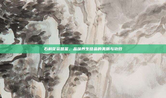 石斛花茶图鉴，品味养生佳品的美丽与功效