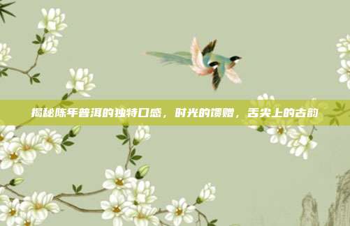 揭秘陈年普洱的独特口感，时光的馈赠，舌尖上的古韵