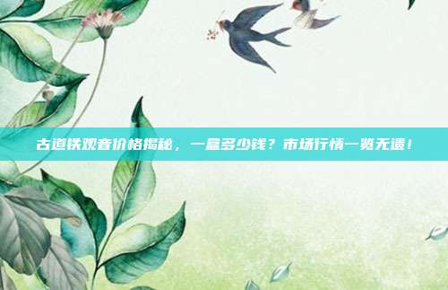 古道铁观音价格揭秘，一盒多少钱？市场行情一览无遗！