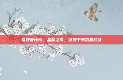 铁观音传奇，品味之间，感受千年茶香韵味