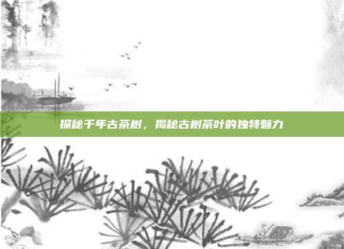 探秘千年古茶树，揭秘古树茶叶的独特魅力
