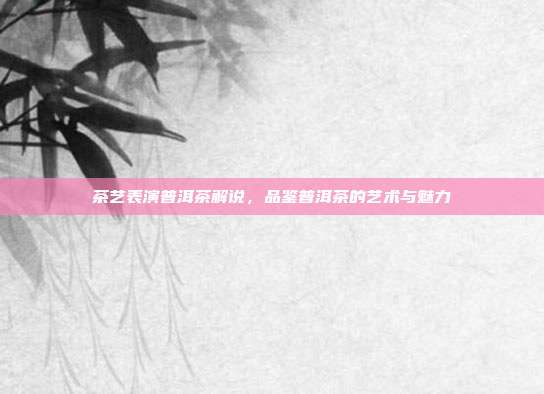 茶艺表演普洱茶解说，品鉴普洱茶的艺术与魅力