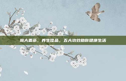 熟大麦茶，养生佳品，五大功效助你健康生活