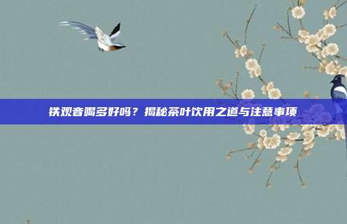 铁观音喝多好吗？揭秘茶叶饮用之道与注意事项