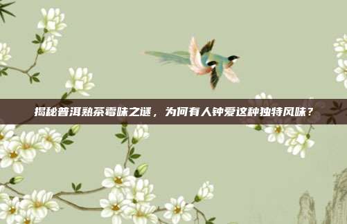 揭秘普洱熟茶霉味之谜，为何有人钟爱这种独特风味？