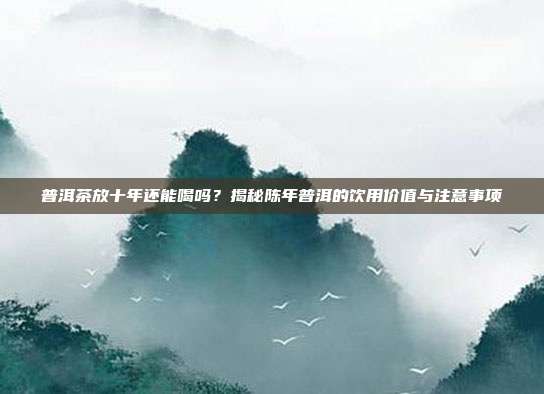 普洱茶放十年还能喝吗？揭秘陈年普洱的饮用价值与注意事项