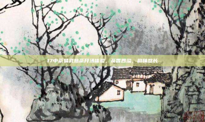 17中茶易武熟茶开汤体验，茶香四溢，韵味悠长