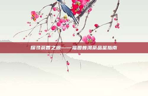 探寻茶香之源——福园普洱茶品鉴指南
