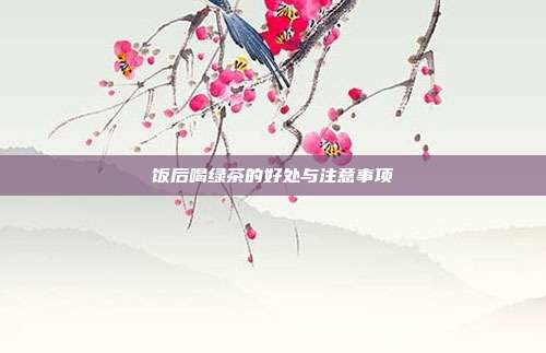 饭后喝绿茶的好处与注意事项