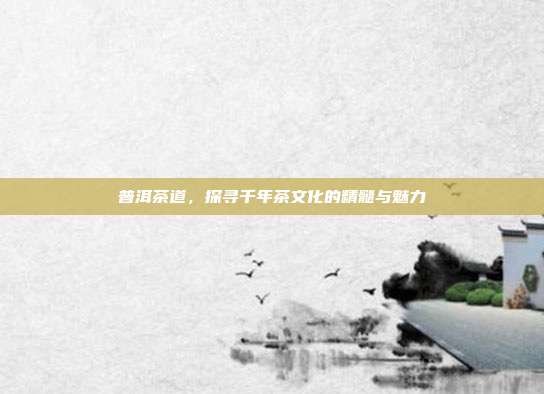 普洱茶道，探寻千年茶文化的精髓与魅力