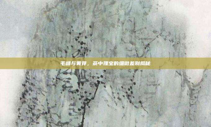 毛峰与黄芽，茶中瑰宝的细微差别揭秘