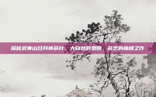 探秘武夷山日月神茶叶，大自然的恩赐，茶艺的巅峰之作