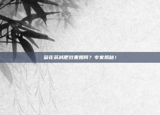 菊花茶减肥效果如何？专家揭秘！