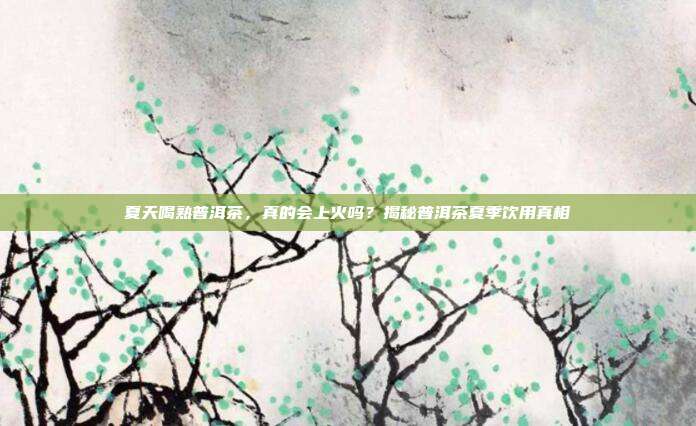 夏天喝熟普洱茶,真的会上火吗?揭秘普洱茶夏季饮用真相