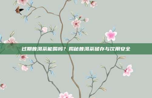 过期普洱茶能喝吗?揭秘普洱茶储存与饮用安全