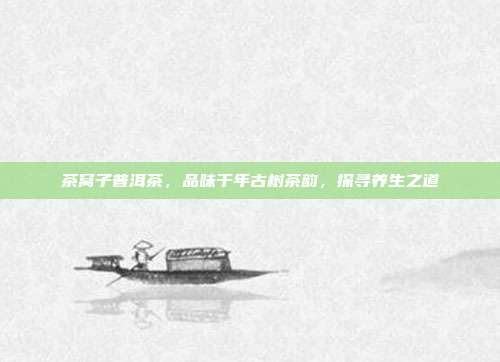 茶窝子普洱茶，品味千年古树茶韵，探寻养生之道