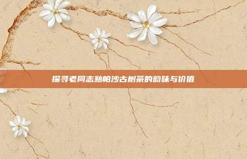 探寻老同志熟帕沙古树茶的韵味与价值