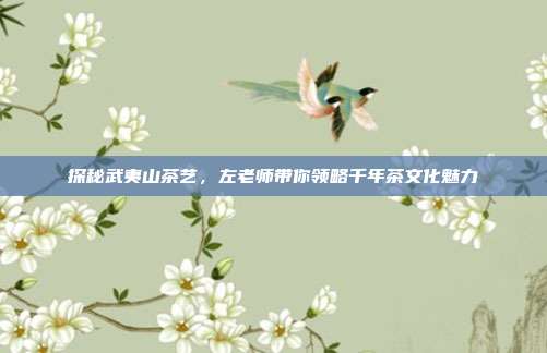探秘武夷山茶艺，左老师带你领略千年茶文化魅力