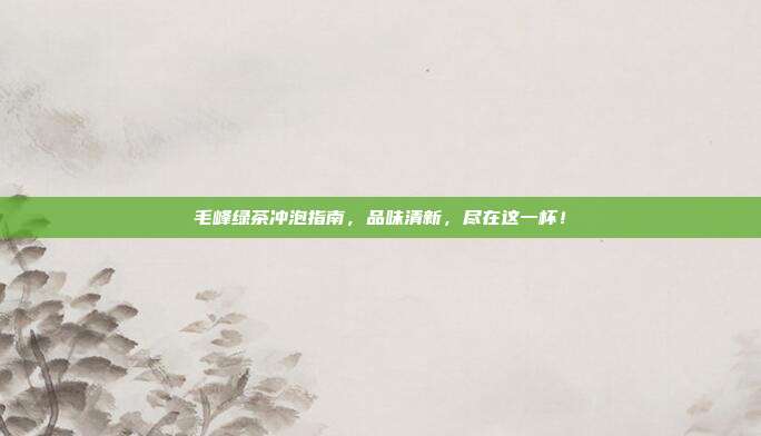 毛峰绿茶冲泡指南，品味清新，尽在这一杯！