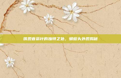 铁观音茶叶的独特之处，蜻蜓头外观揭秘