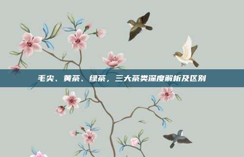 毛尖、黄茶、绿茶，三大茶类深度解析及区别
