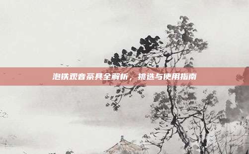 泡铁观音茶具全解析，挑选与使用指南