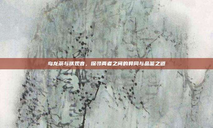 鸟龙茶与铁观音，探寻两者之间的异同与品鉴之道