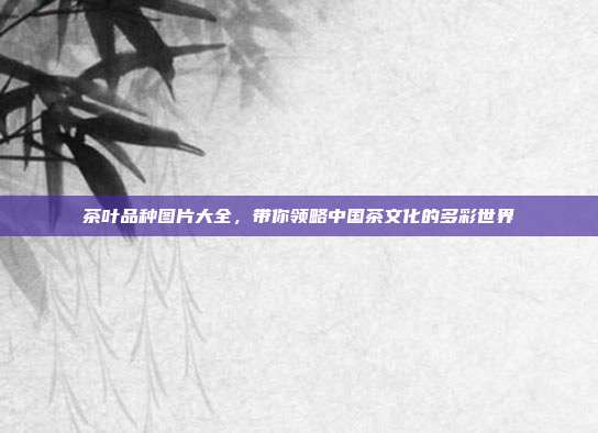 茶叶品种图片大全，带你领略中国茶文化的多彩世界