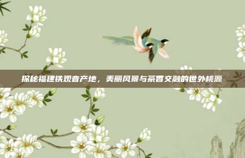 探秘福建铁观音产地，美丽风景与茶香交融的世外桃源