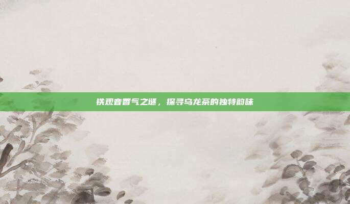 铁观音香气之谜，探寻乌龙茶的独特韵味