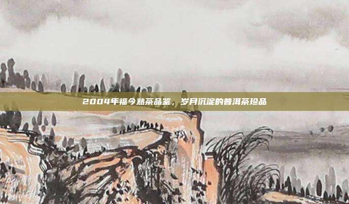 2004年福今熟茶品鉴，岁月沉淀的普洱茶珍品