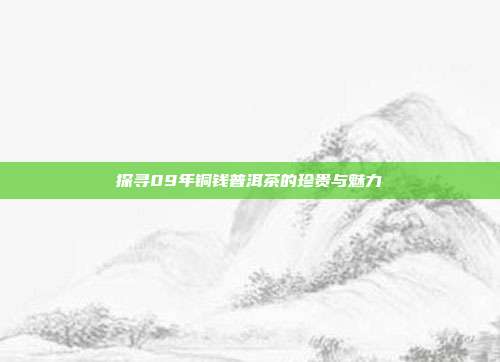 探寻09年铜钱普洱茶的珍贵与魅力