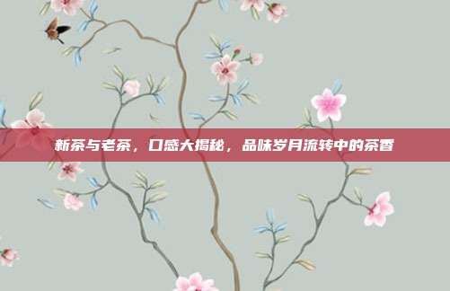 新茶与老茶，口感大揭秘，品味岁月流转中的茶香