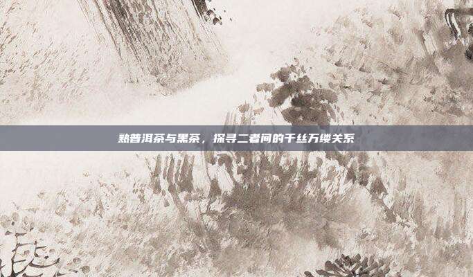 熟普洱茶与黑茶，探寻二者间的千丝万缕关系