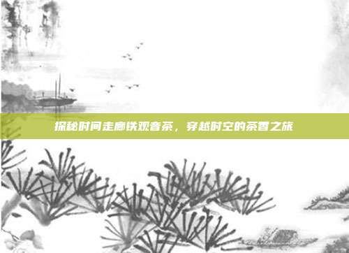 探秘时间走廊铁观音茶，穿越时空的茶香之旅