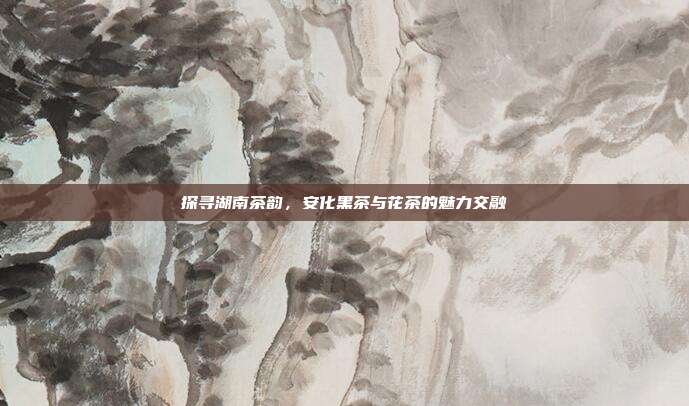 探寻湖南茶韵，安化黑茶与花茶的魅力交融