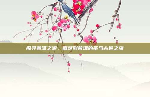 探寻普洱之源，蛮耗到普洱的茶马古道之旅