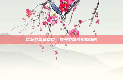 乌龙茶品鉴指南，探寻茶香四溢的秘密