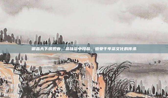 御品天下铁观音，品味茶中珍品，感受千年茶文化的传承