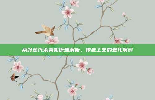 茶叶蒸汽杀青机原理解析，传统工艺的现代演绎