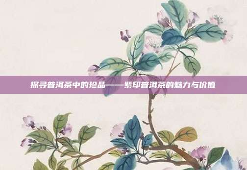 探寻普洱茶中的珍品——紫印普洱茶的魅力与价值