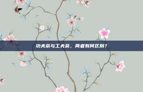 功夫茶与工夫茶，两者有何区别？