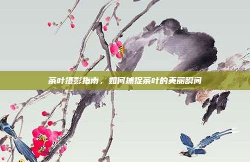 茶叶摄影指南，如何捕捉茶叶的美丽瞬间