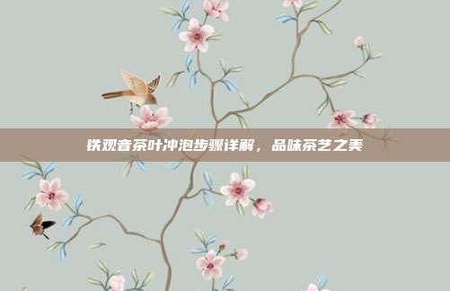 铁观音茶叶冲泡步骤详解，品味茶艺之美