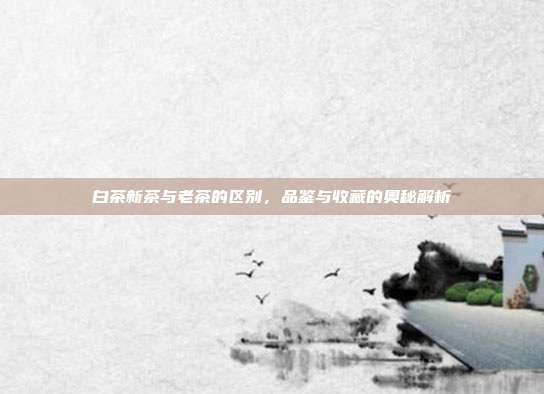 白茶新茶与老茶的区别，品鉴与收藏的奥秘解析