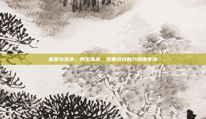 金萱乌龙茶，养生佳品，多重功效助力健康生活