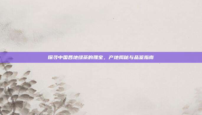 探寻中国各地绿茶的瑰宝，产地揭秘与品鉴指南